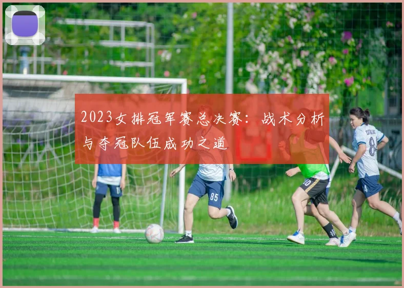 2023女排冠军赛总决赛：战术分析与夺冠队伍成功之道