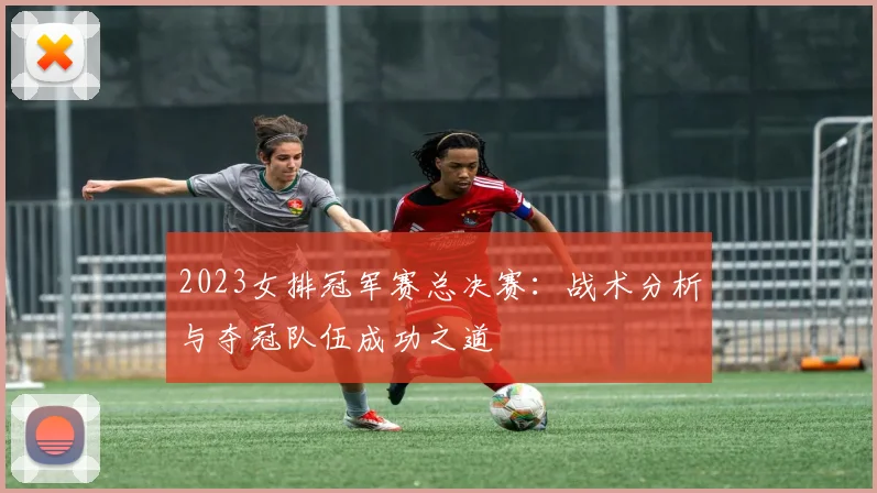2023女排冠军赛总决赛：战术分析与夺冠队伍成功之道