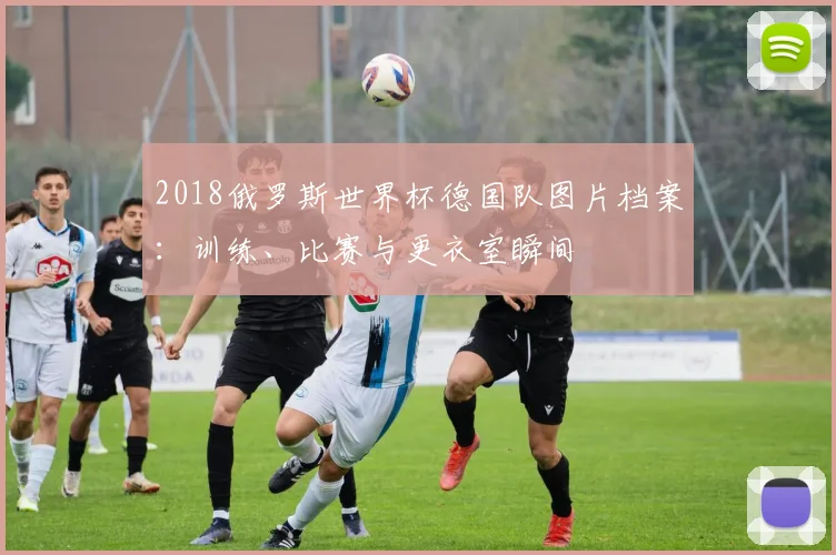 2018俄罗斯世界杯德国队图片档案：训练、比赛与更衣室瞬间