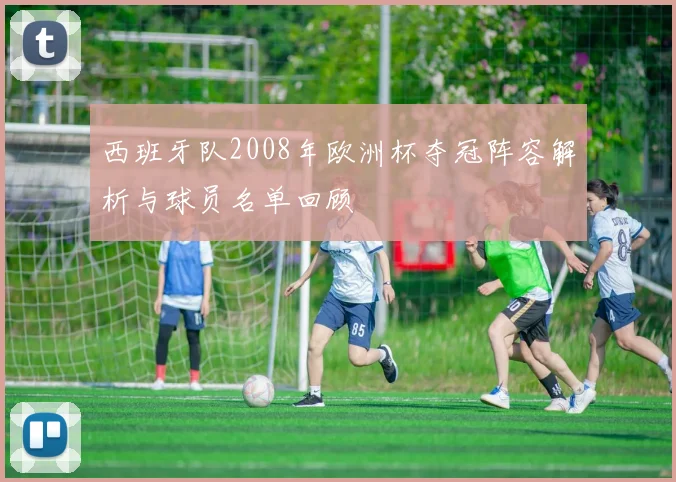 西班牙队2008年欧洲杯夺冠阵容解析与球员名单回顾