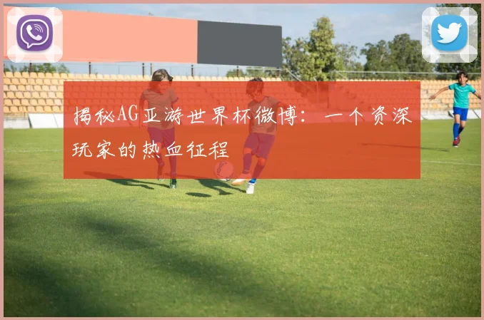 揭秘AG亚游世界杯微博:一个资深玩家的热血征程