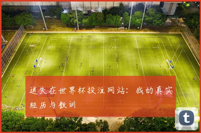 迷失在世界杯投注网站：我的真实经历与教训