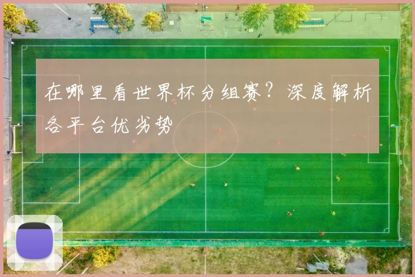在哪里看世界杯分组赛?深度解析各平台优劣势
